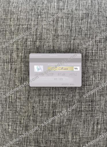 Vietnam BIDV visa debit card photolook back